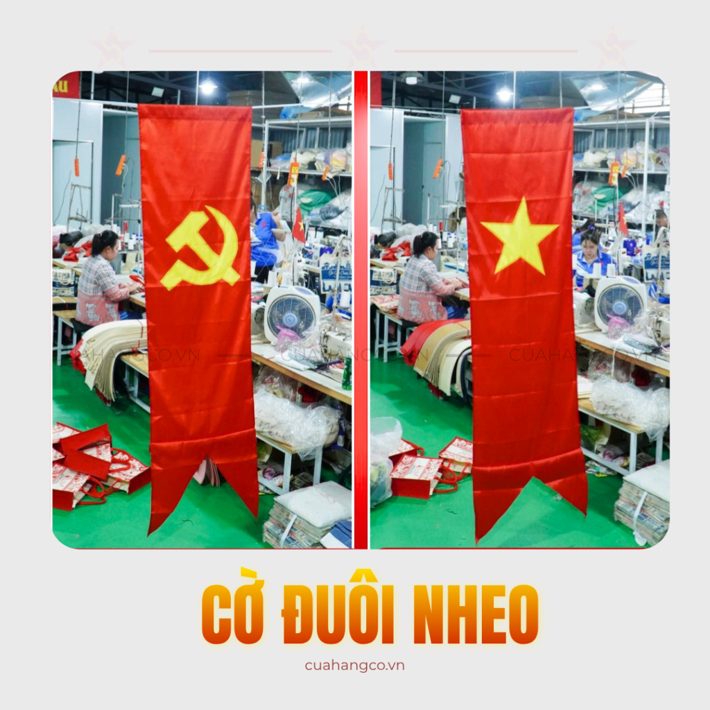 co duoi nheo to quoc