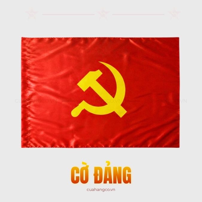 co dang