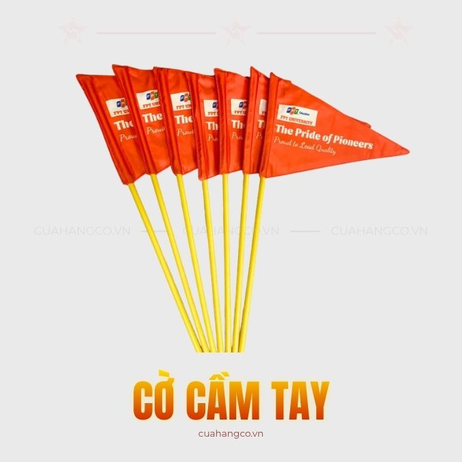 co cam tay