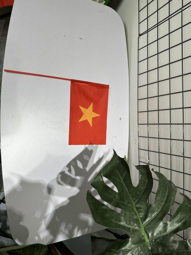 cờ cầm tay Việt Nam